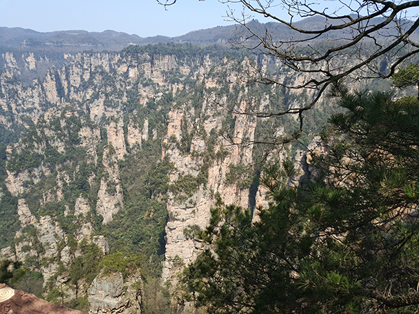 张家界踏青——九瑞PVC地板